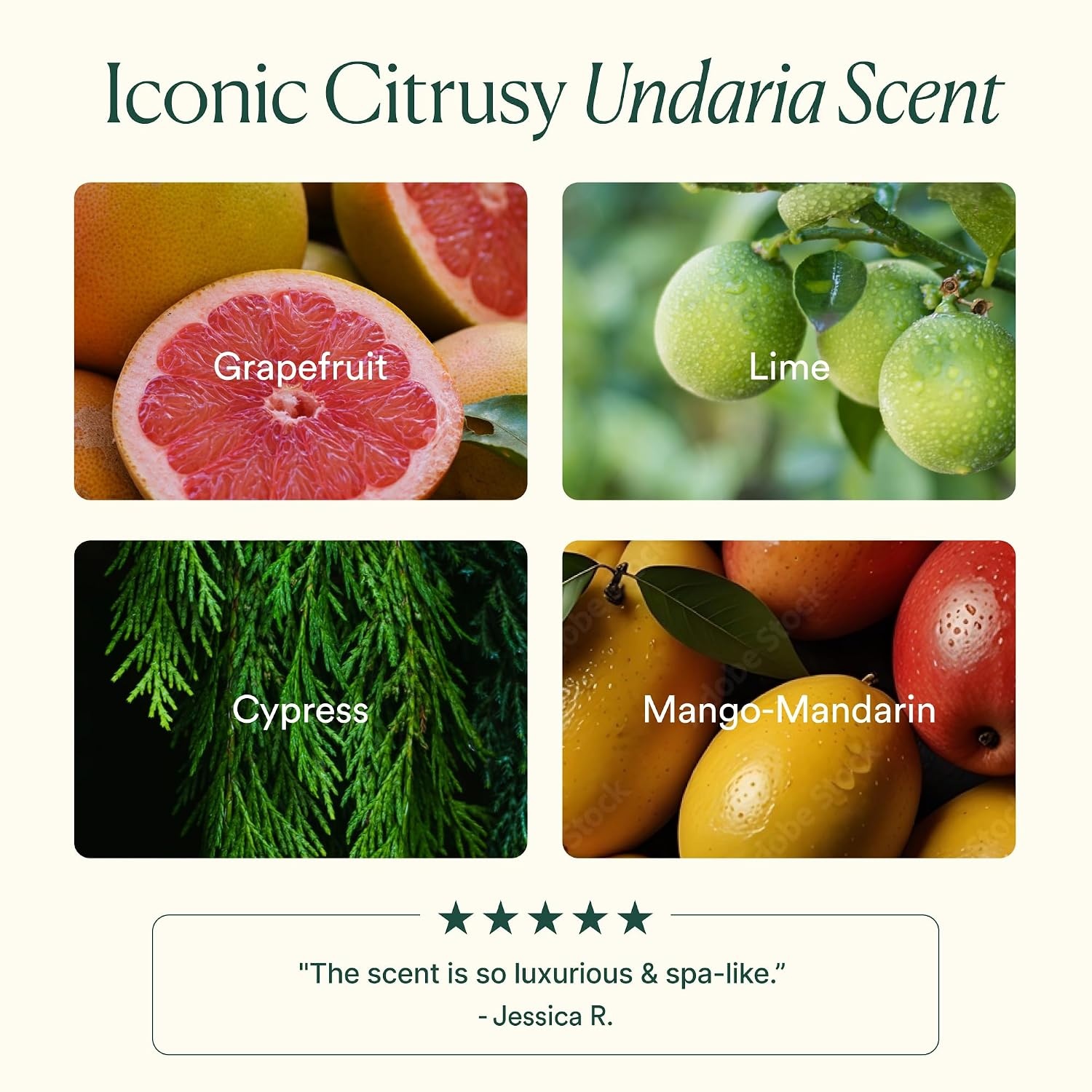 image:imageOSEA Undaria Algae Body Butter 67 oz For Dry Skin Ultra Hydrating Whipped Shea Butter Ceramides Vegan Skincare amp Clean Bodycare Thick Body Cream For Extremely Dry Crepey Skin Ultra Hydrating Dry amp Crepey Skin FirmerLooking Skin Thick Cream Texture Undaria Seaweed Clean amp VeganWhite