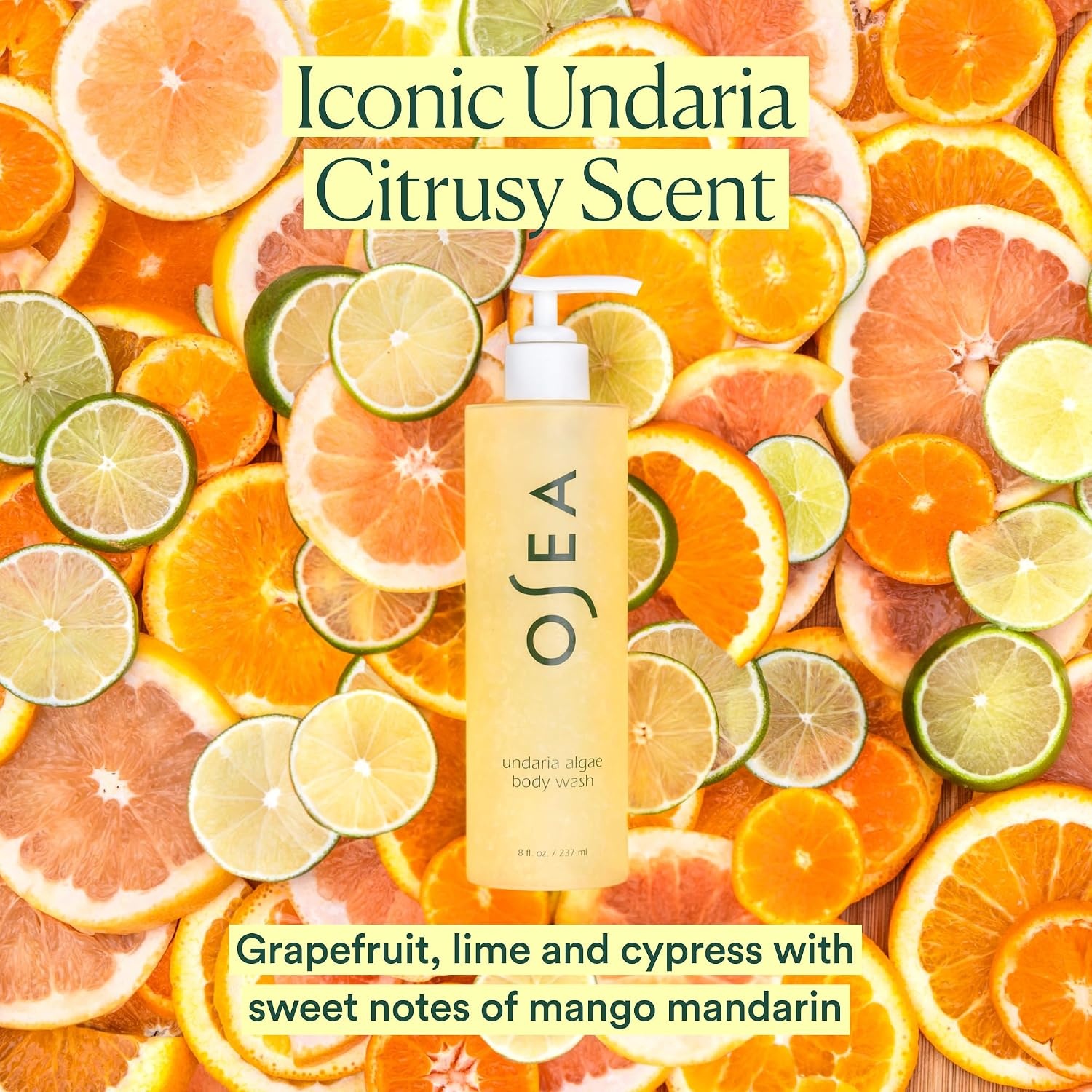 image:imageOSEA Undaria Cleanse amp Glow Duo Undaria Algae Body Oil amp Undaria Algae Body Wash