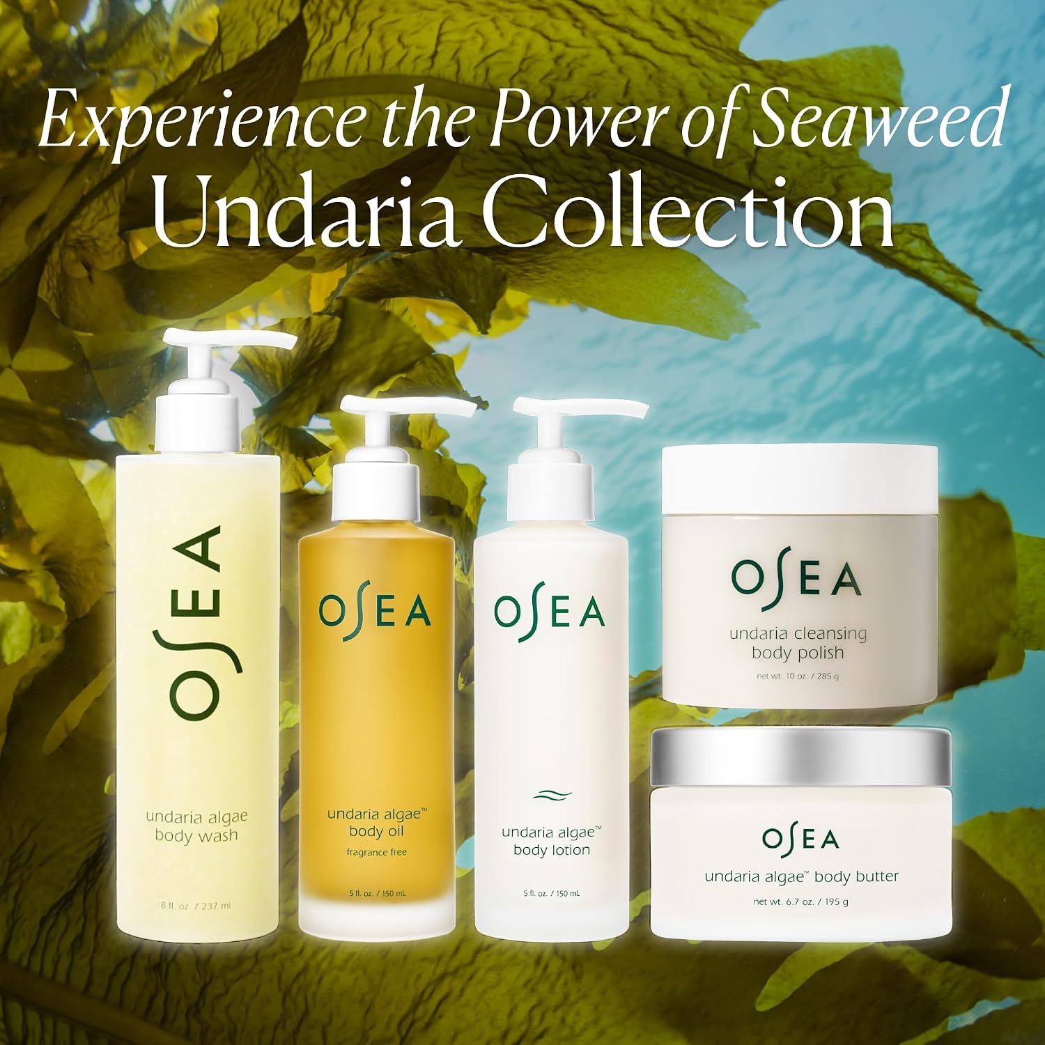 image:imageOSEA Undaria Algae FragranceFree Body Oil Deep Hydration SilkyGlow 5oz Visibly Firming Improves Elasticity FastAbsorbing NonGreasy Hypoallergenic National Eczema Association Accepted