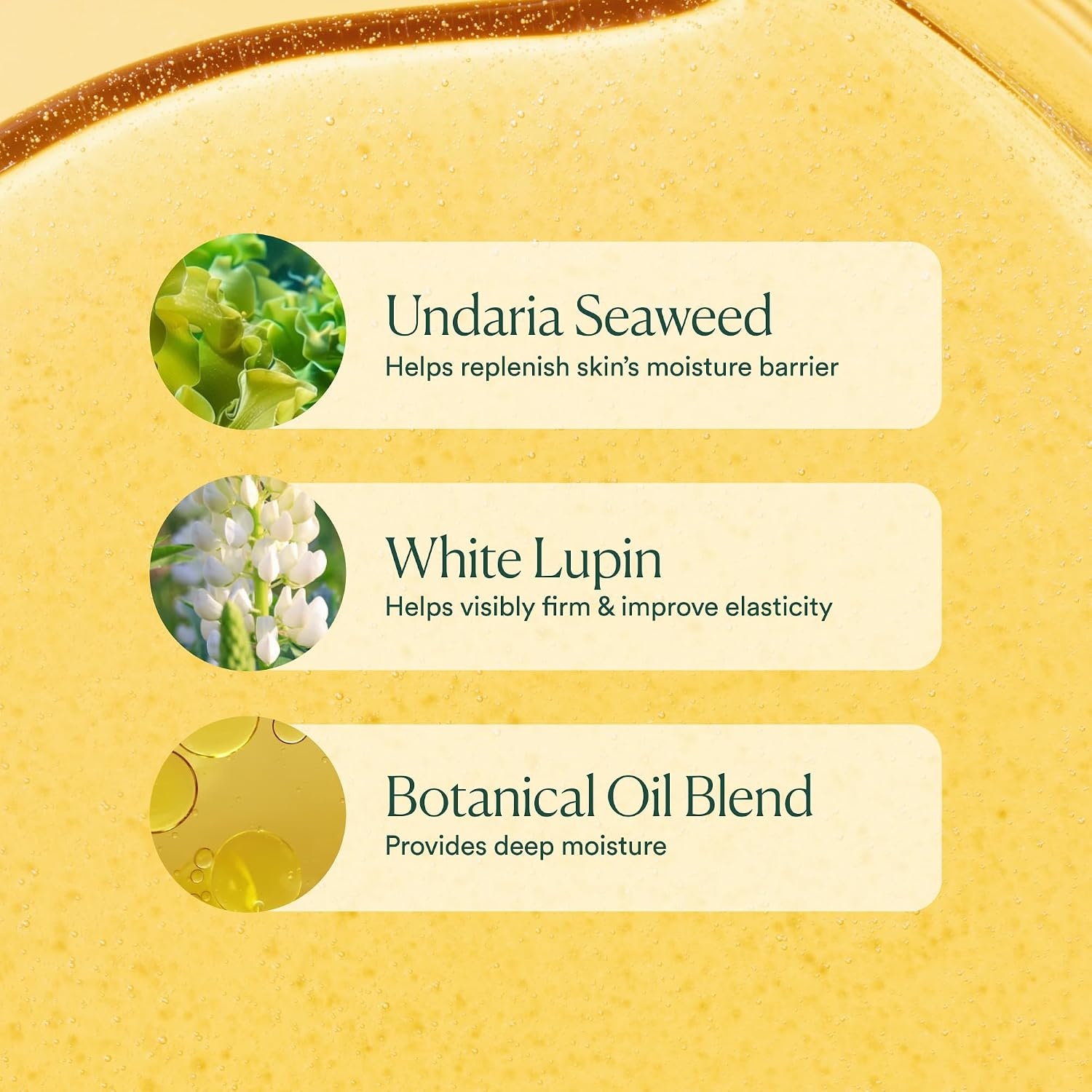 image:imageOSEA Undaria Algae FragranceFree Body Oil Deep Hydration SilkyGlow 5oz Visibly Firming Improves Elasticity FastAbsorbing NonGreasy Hypoallergenic National Eczema Association Accepted